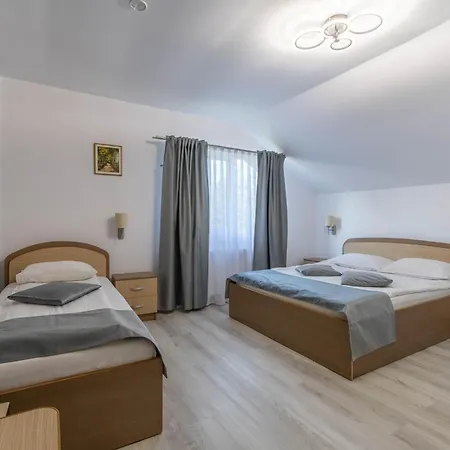Pensiunea Gaby Pensión Cluj-Napoca