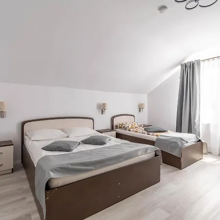 Pensiunea Gaby Guest house Cluj-Napoca