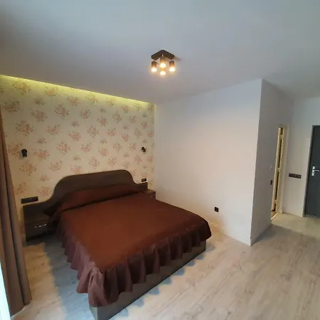 Pensiunea Gaby בית הארחה