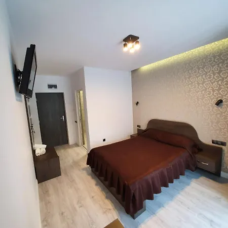 Pensiunea Gaby בית הארחה 3*