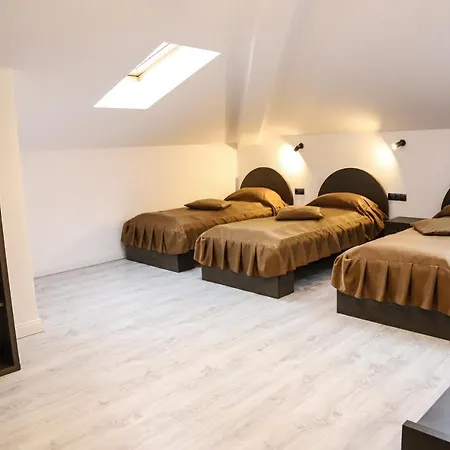 Pensiunea Gaby ゲストハウス 3*