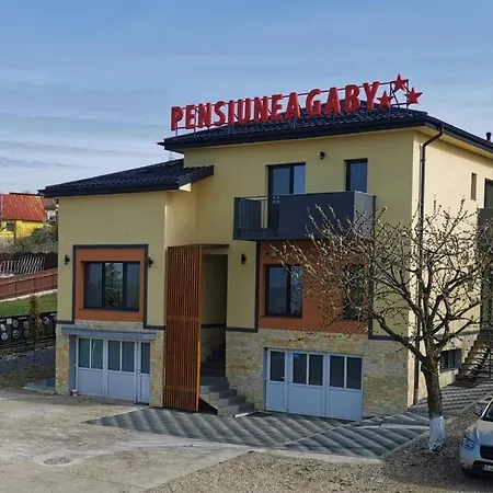 בית הארחה Pensiunea Gaby קלוז'-נאפוקה