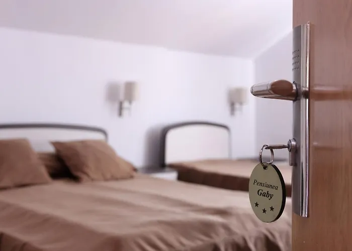 Πανσιόν Pensiunea Gaby