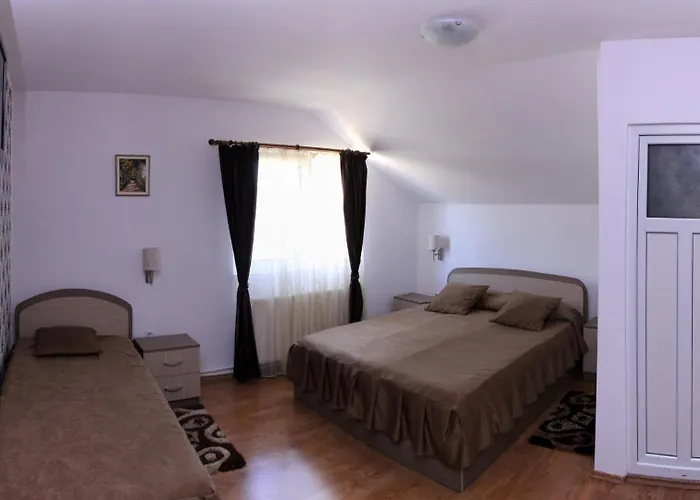 Πανσιόν Pensiunea Gaby 3*