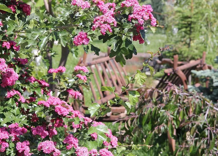 Πανσιόν Pensiunea Gaby