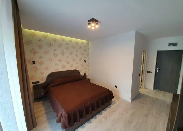 Pensiunea Gaby Pensión