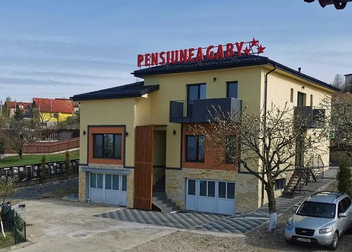 Pensión Pensiunea Gaby Cluj-Napoca